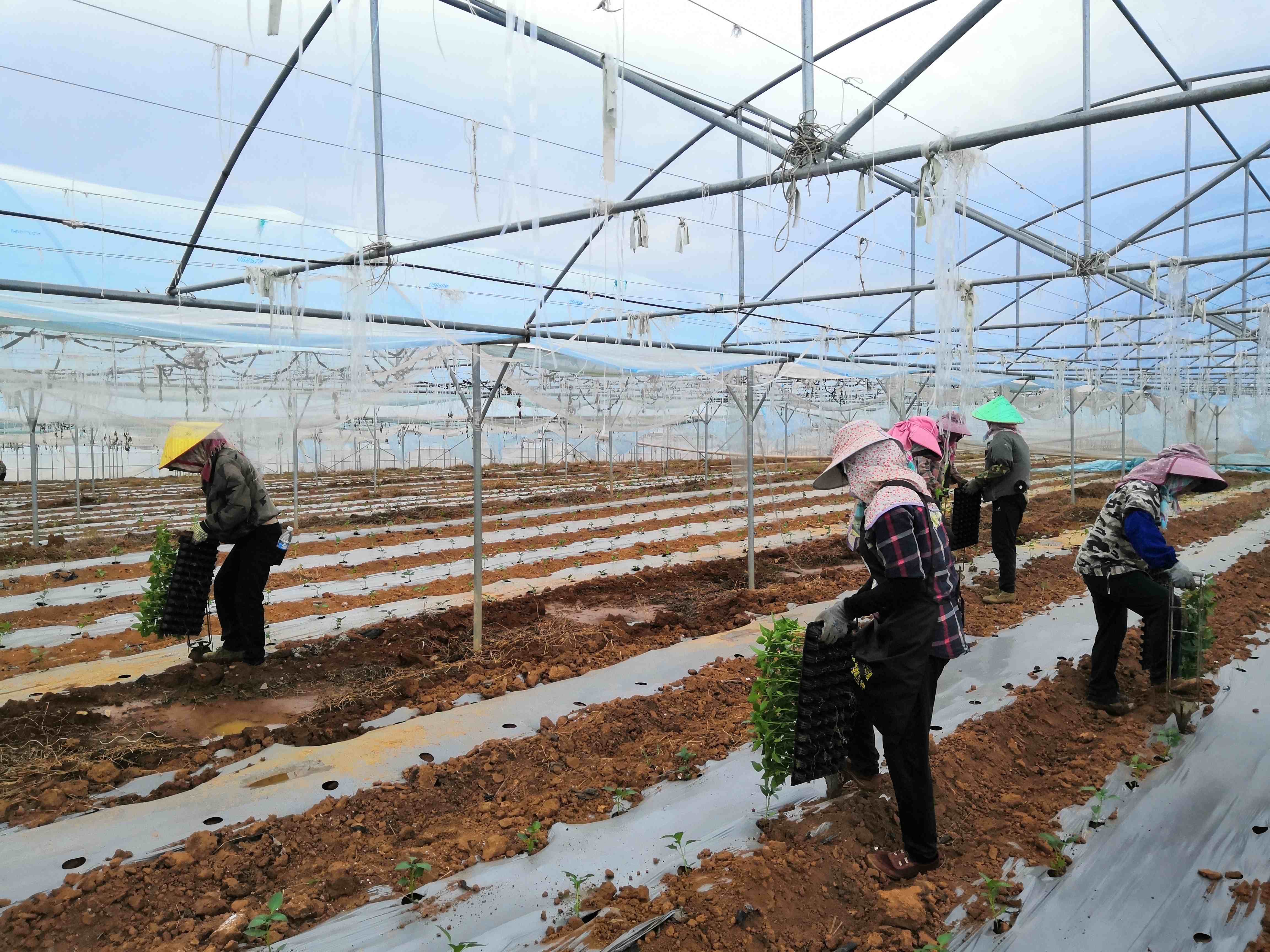 節(jié)慶“不打烊” 堅守顯擔(dān)當